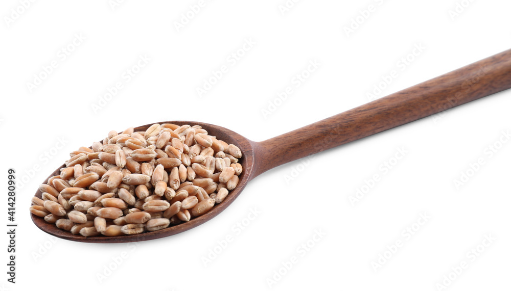 Wooden spoon with wheat grains isolated on white Wooden spoon with wheat grains isolated on white