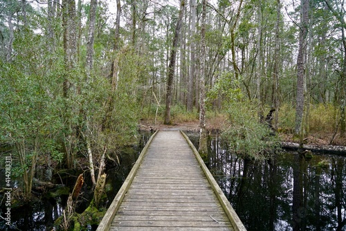 Swampy Bridge