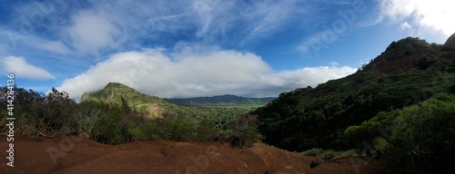 views from a hiking trail in Hawaii