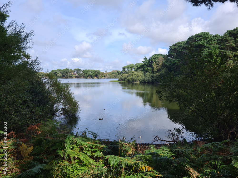 Obraz premium Guernsey Channel Islands, St Saviours Reservoir