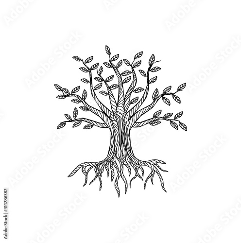 Photography Tree of life vector illustration with hand drawing style