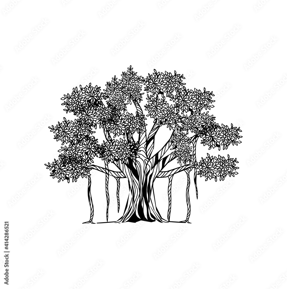 Banyan tree vector art, Hand drawn ancient tree illustrations Stock Vector Adobe Stock