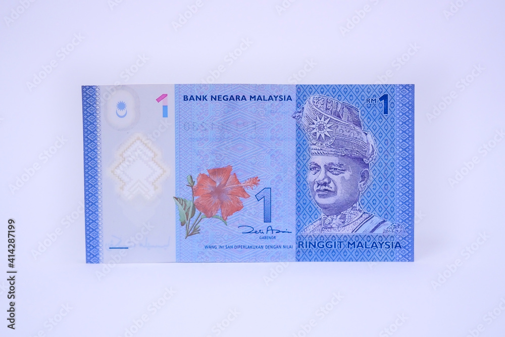 One Malaysian ringgit paper bill