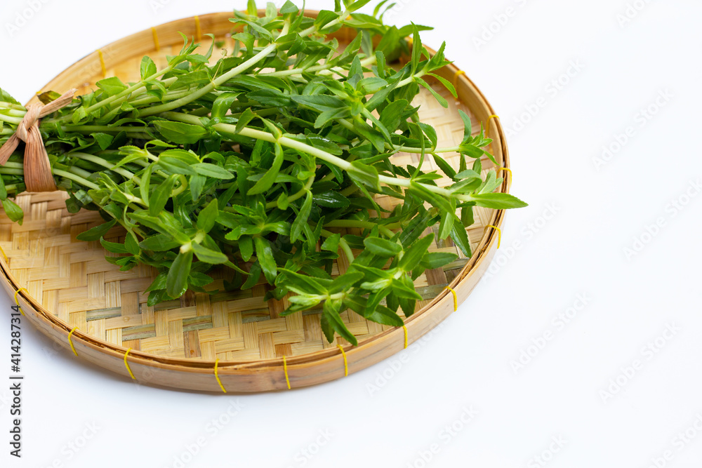 Fresh paddy rice herb on white background. Fresh paddy rice herb on white background.