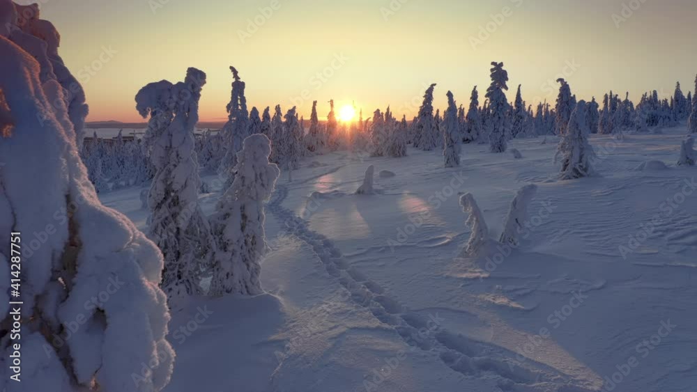 Sunset through snow covered forest hill of Riisitunturi National Park, Lapland, Finland, aerial drone shot