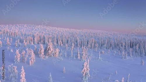 Sunset over snow covered forested hill of Riisitunturi National Park, Lapland, Finland, aerial drone shot