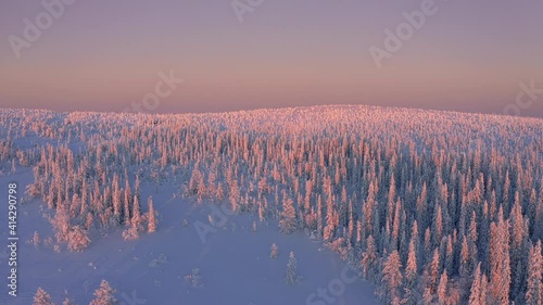 Sunset over snow covered forested hill of Riisitunturi National Park, Lapland, Finland, aerial drone shot