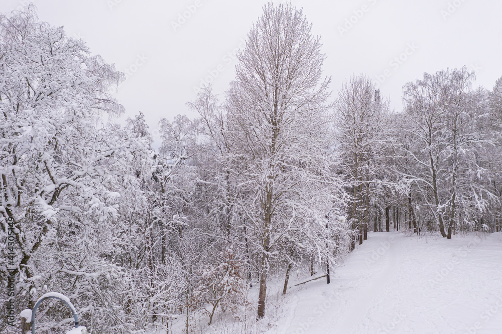 Winter landscape on a frosty day, trees in hoarfrost Winter landscape on a frosty day, trees in hoarfrost