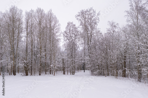 Winter landscape on a frosty day, trees in hoarfrost