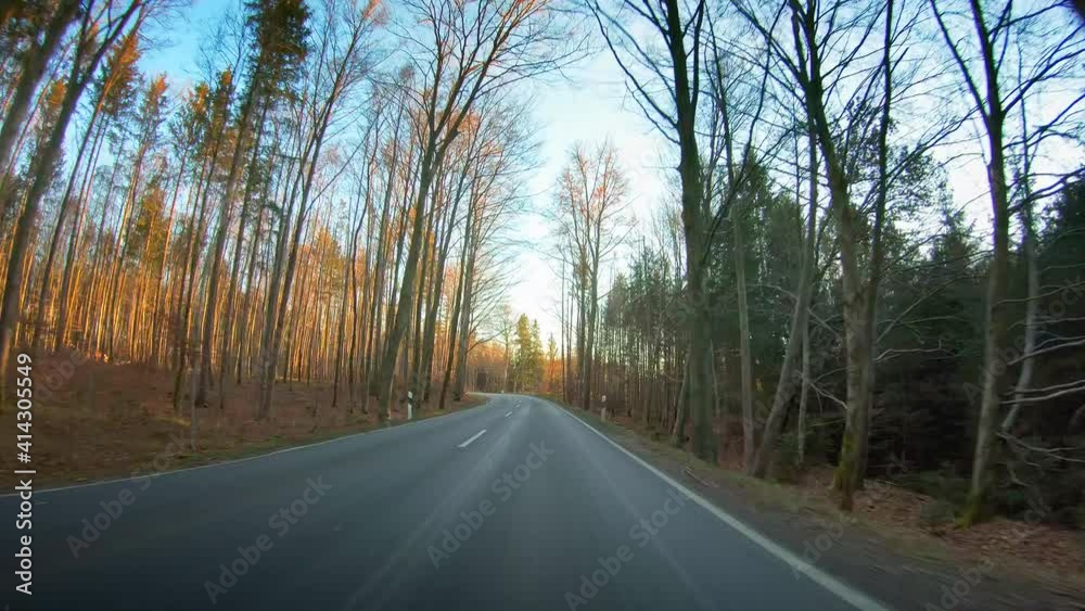 Woods, beautiful nature POV vehicle drive, asphalt road, bare trees, gleaming shining sun, blue sky, car travel gopro point of view Woods, beautiful nature POV vehicle drive, asphalt road, bare trees, gleaming shining sun, blue sky, car travel gopro point of view