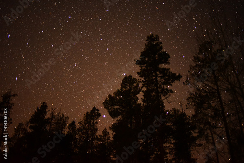 Night Stars © Nicholas Marouf