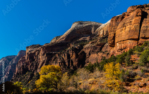 The High Rock Walls of Zion Canyon, Zion National Park, Utah, USA