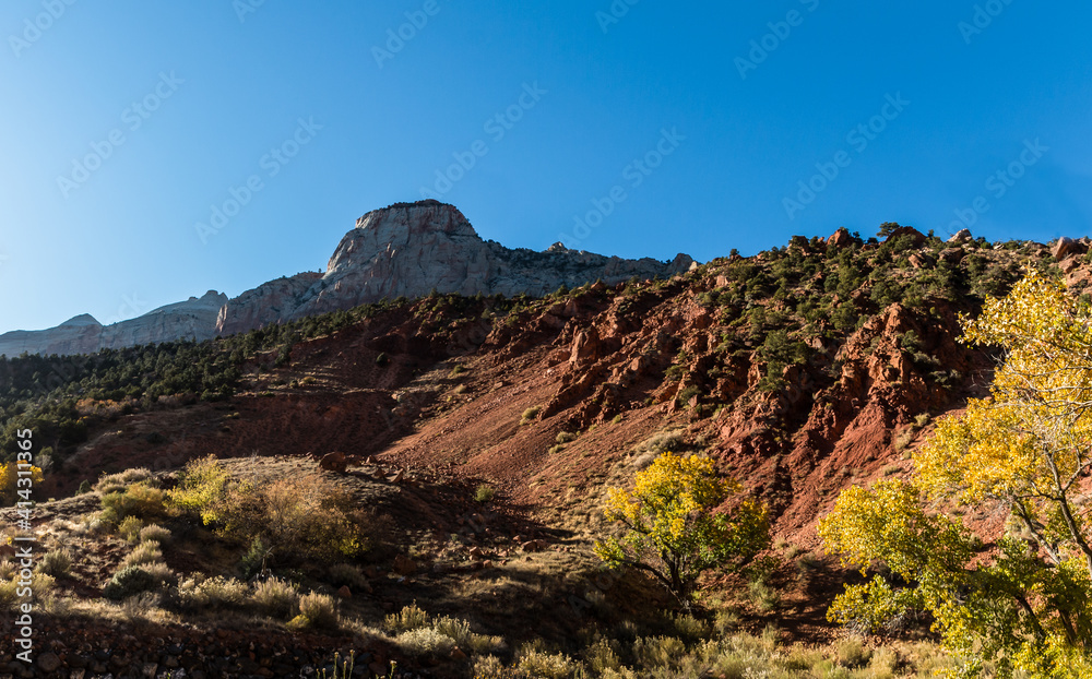 The Sentinel With Fall Colors On The River Trail, Zion National Park, Utah, USA