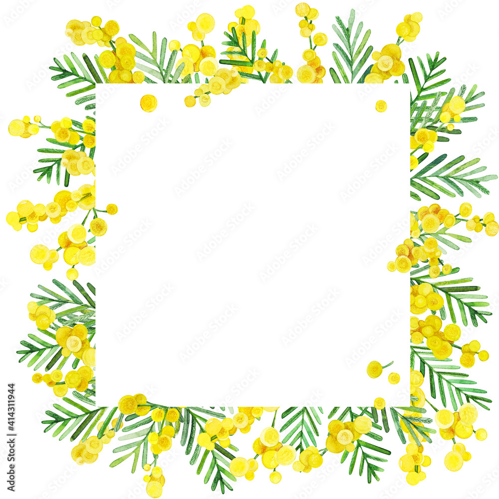 Lovely square frame of hand painted watercolor acacia spring flowers. Yellow mimosa cute watercolor illustration background for invitations and cards. Wedding and stationery design template