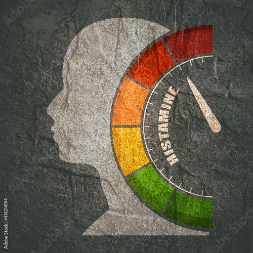 Scale with arrow. The histamine measuring device. Sign tachometer, speedometer, indicator. Head of man silhouette. photo