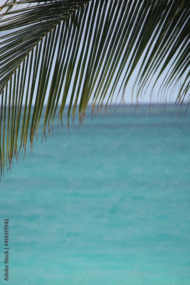Fototapeta premium Turks and Caicos
