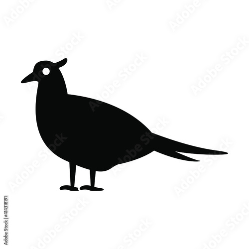 Pheasant icon vector graphic illustration