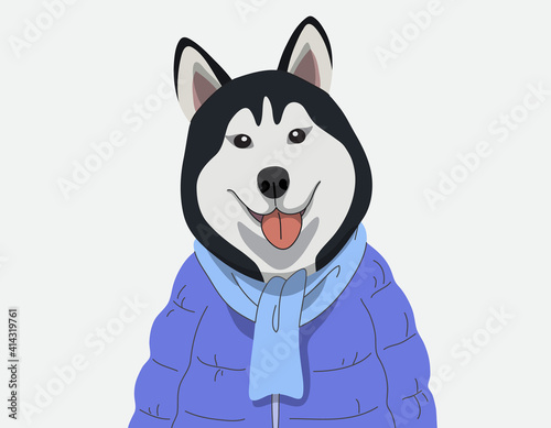 Dog portrait cartoon hand drawn, Siberian Husky wearing Jackets Puffer, Popular Dog Breeds, Vector illustration