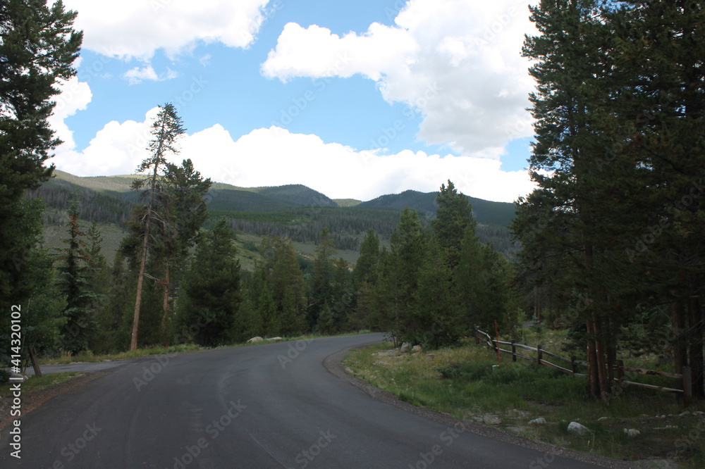 Naklejka premium nature