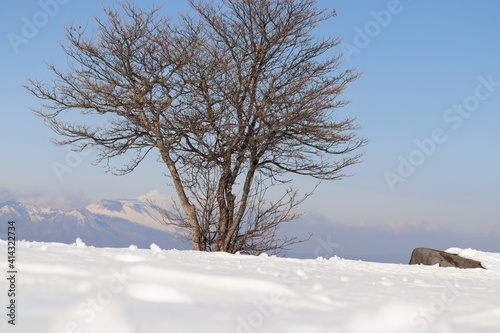 冬の雪山で深雪に足跡と木