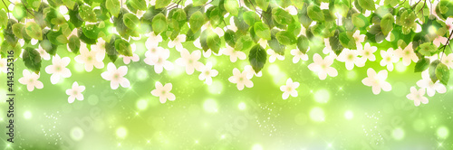 桜　新緑　春　背景