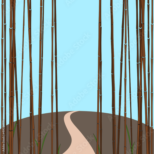 Bambus Wald Weg