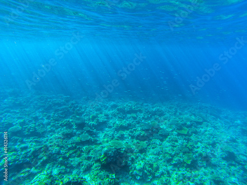 Tropical sea water landscape with coral reef and small fishes. Shallow sea water with sun beams.