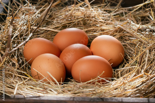 Several raw fresh chicken eggs in a nest of hay on a wooden background