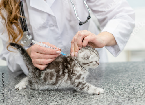 Fototapeta Naklejka Na Ścianę i Meble -  Vaccination or treatment of a kitten in a veterinary clinic