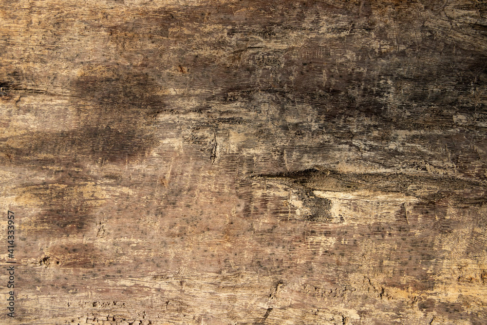 Warm wooden table texture flat lay photo. Timber board with weathered crack. Rustic wooden table top view