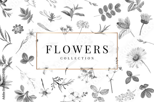 Flowers collection on a white background vector