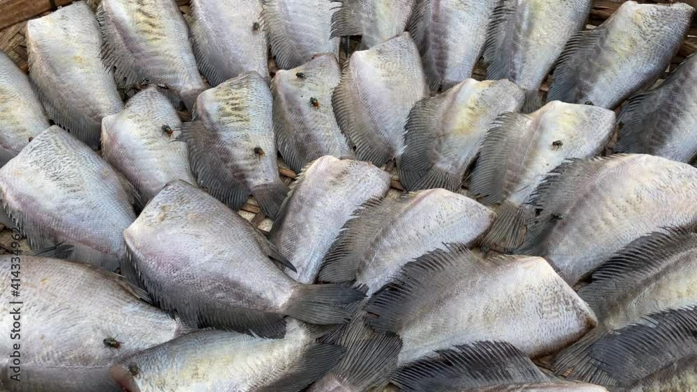 close up dry sepat siam fish - raw food thailand style close up dry sepat siam fish - raw food thailand style