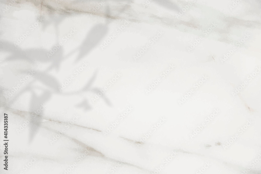 Obraz premium Floral shadow on white marble background vector