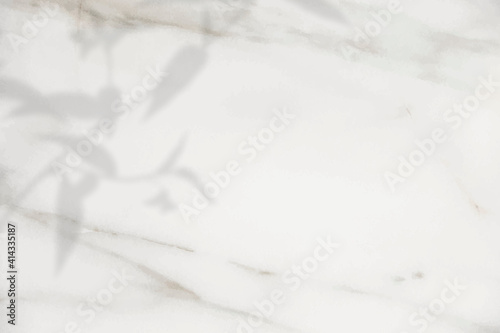 Floral shadow on white marble background vector