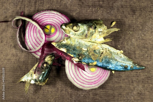Fish prepared as cat food with rings of red onions on wood surface