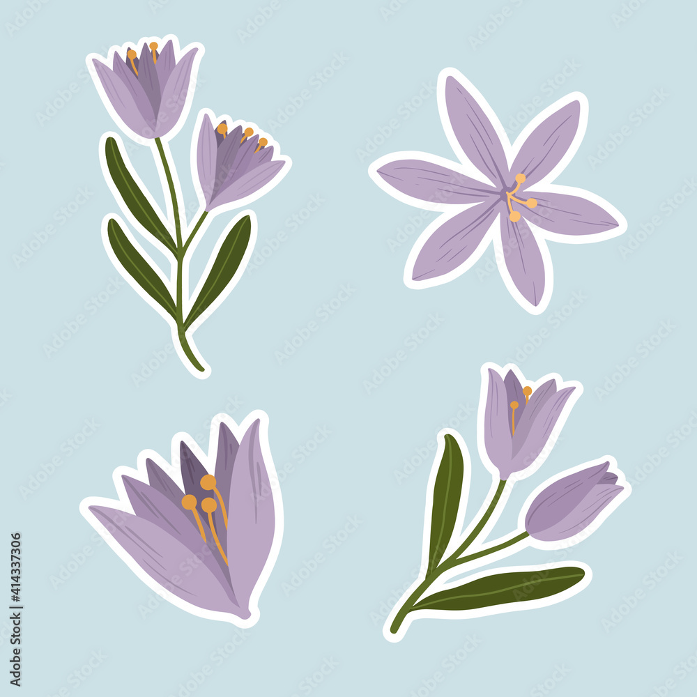 Purple crocus flower set vector
