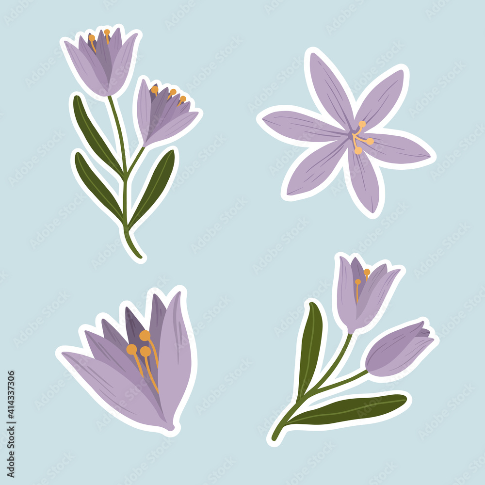 Purple crocus flower set vector Purple crocus flower set vector