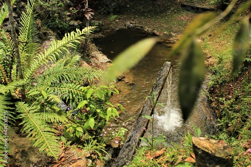 NATURE CASCADE BRAZIL