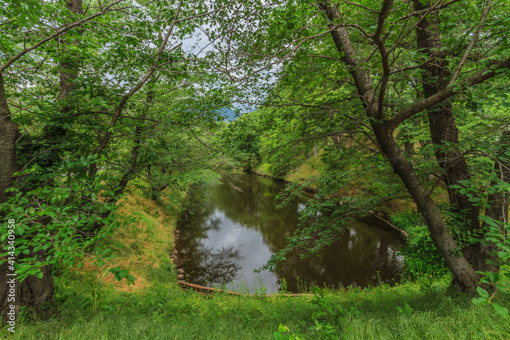 上田城の水堀の風景