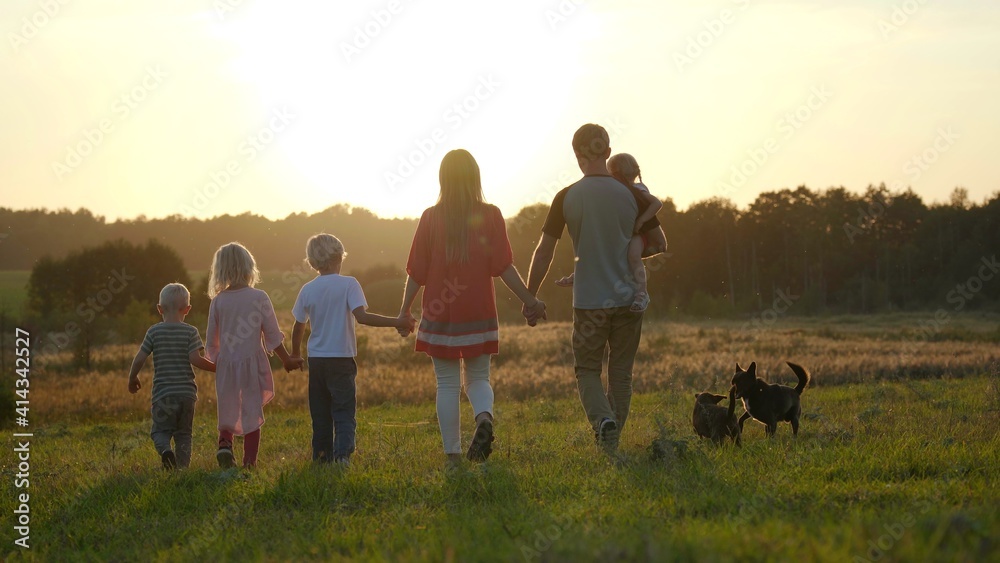 Fototapeta premium A large friendly family walks across the field at sunset with dog.