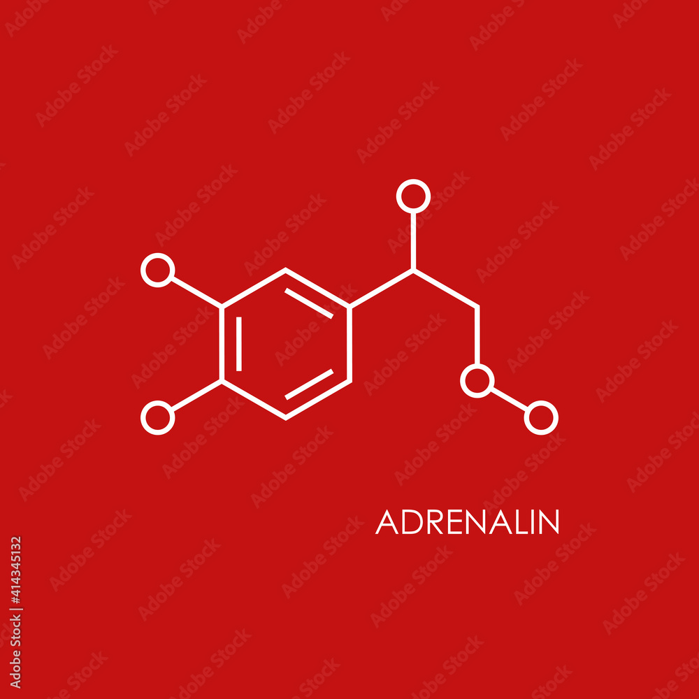 Adrenalin molecula structure. White line icon isolated on red background. Adrenalin molecula structure. White line icon isolated on red background.