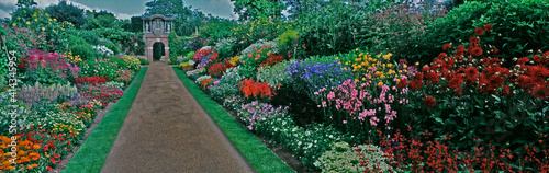 Photography A impressive panoramic view of the herbaceous borders at Nymans garden