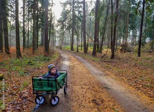 Little kid sitting in a wagon on a road in a forest