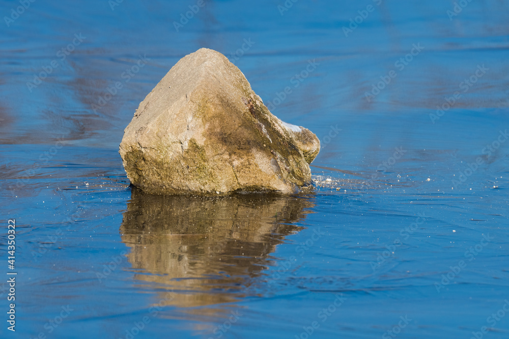 A Rock Beautifully Reflected onto the Thick Ice on a Sunny Winter Morning A Rock Beautifully Reflected onto the Thick Ice on a Sunny Winter Morning