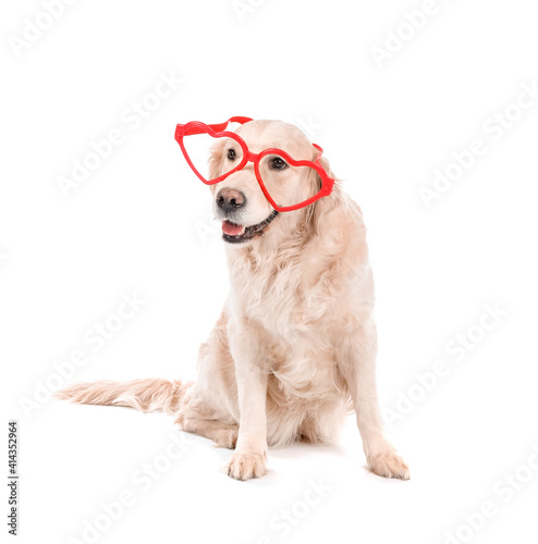 Cute dog with party glasses on white background. Valentine's Day celebration
