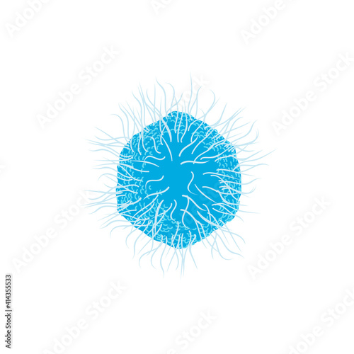Fotografie Microscopic unicellular microorganism