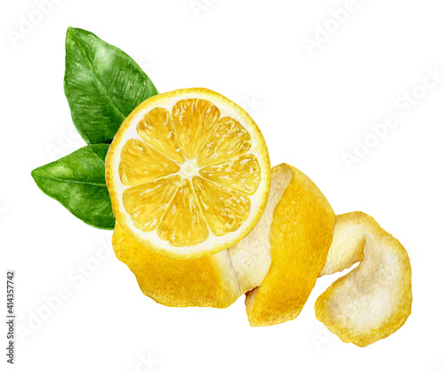 Lemon slice with peel and leaves watercolor illustration isolated on white background