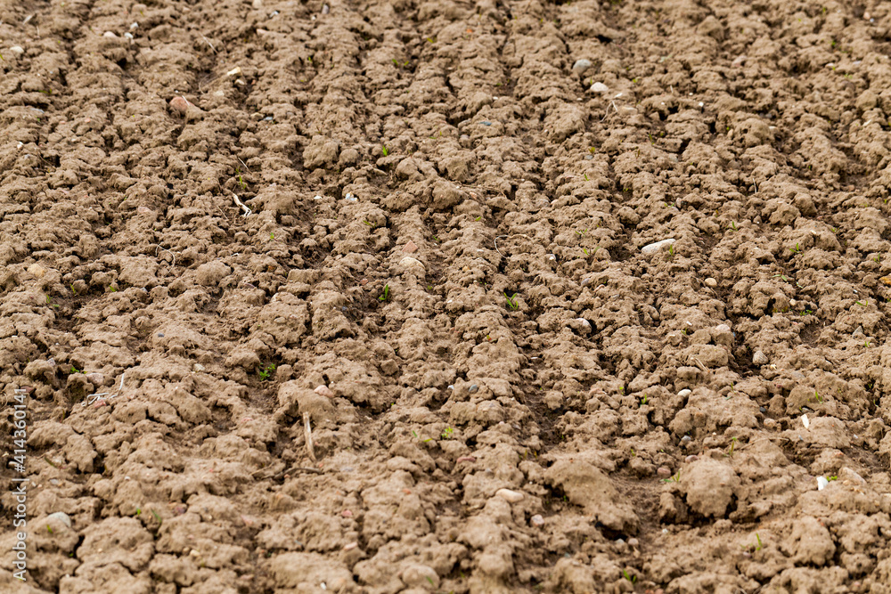 plowed agricultural field