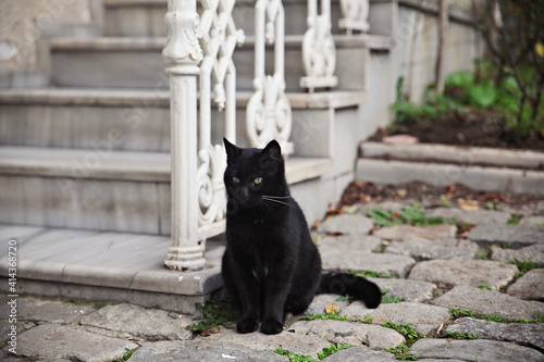 A black cat near marble stairs © ceyda