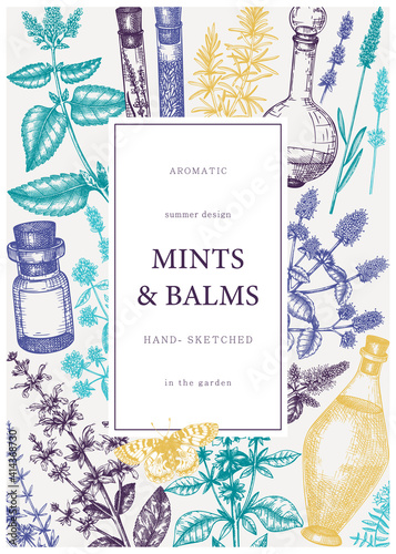Hand-drawn perfumery and cosmetics ingredients banner. Decorative background with vintage mints and balms herbs for perfumery. Organic cosmetics design template. Aromatic plants flyer
